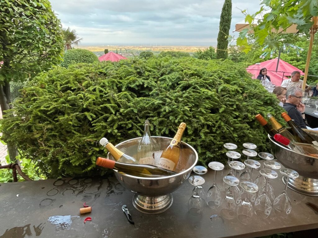 Senat der Wirtschaft beim Weinblütenfest