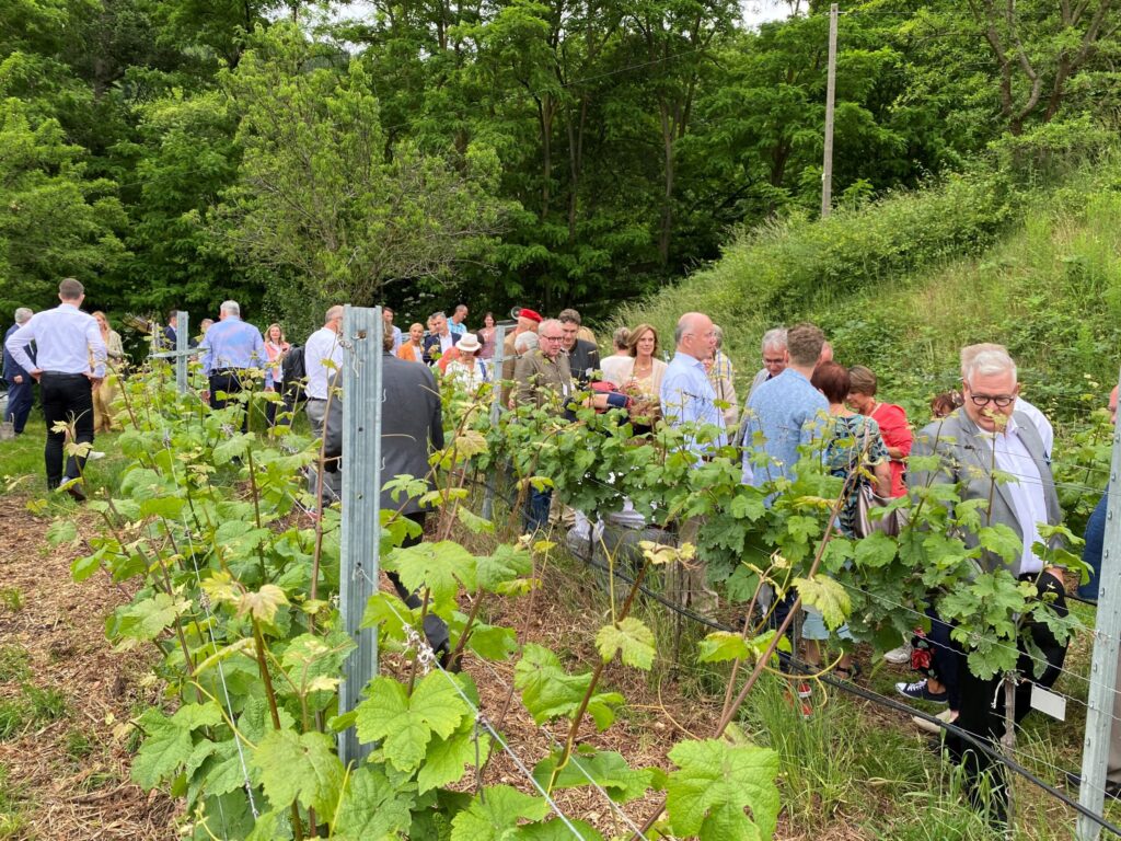 Senat der Wirtschaft beim Weinblütenfest