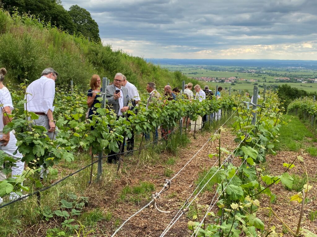 Senat der Wirtschaft beim Weinblütenfest