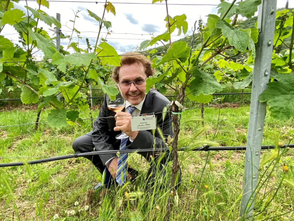 Senat der Wirtschaft beim Weinblütenfest
